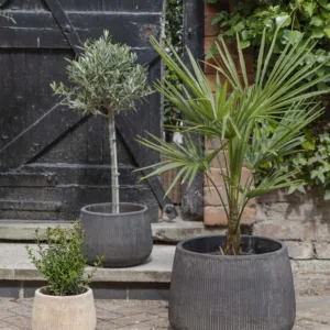 Outdoor Hidcote Black Terracotta Planter